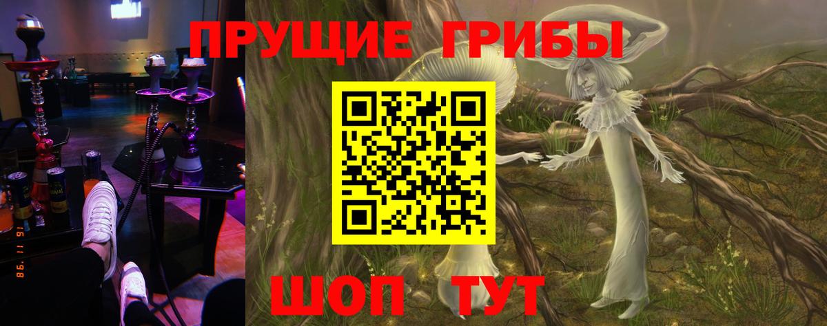 магазин  наркотиков  Вход с VPN  Саратов  Псилоцибиновые грибы мицелий 